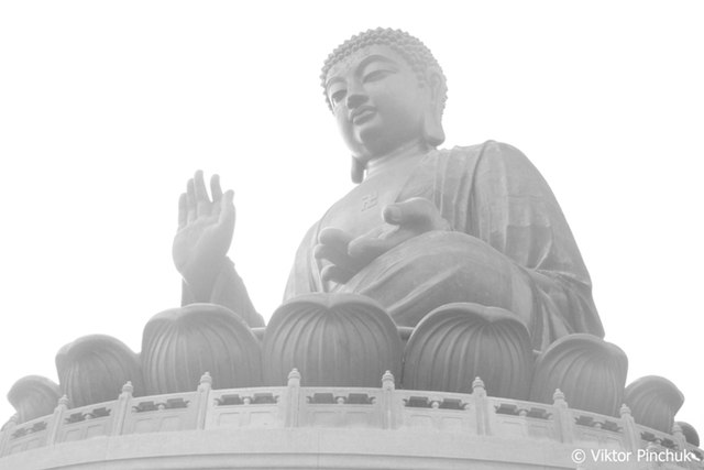 16 Best Buddha Quotes On Karma