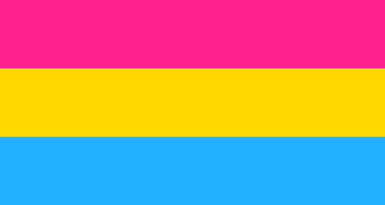 What does pansexual mean